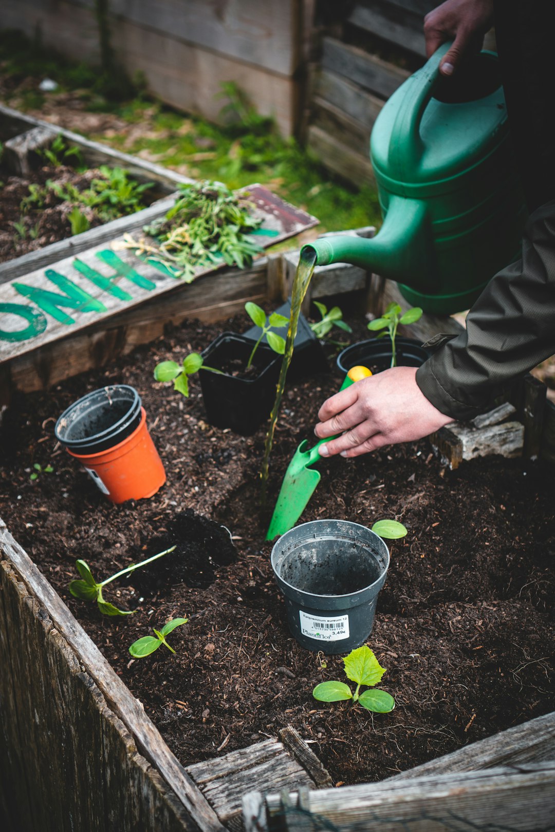 Outdoor garden planning