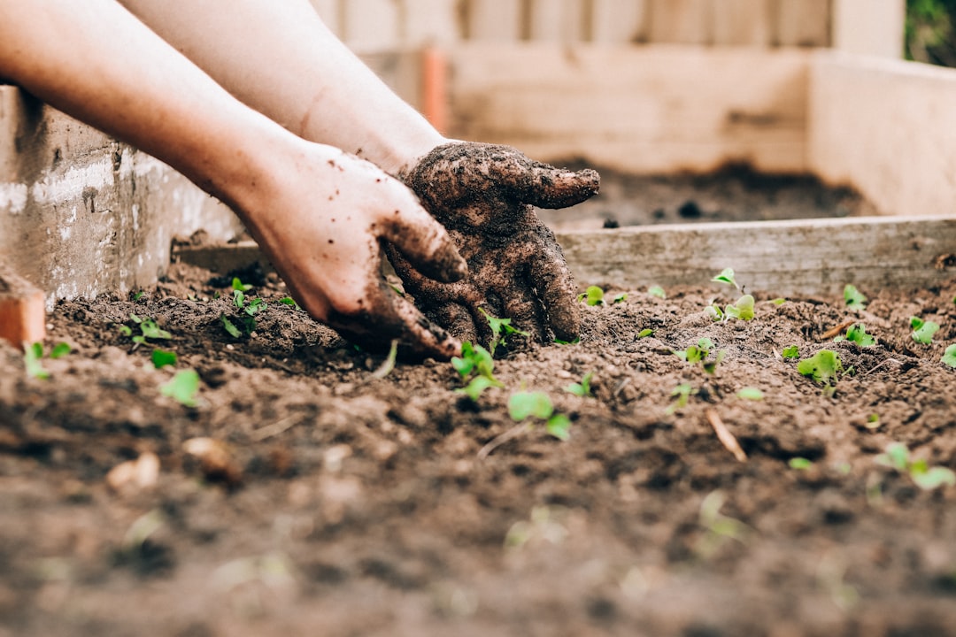 Gardening tools and plants